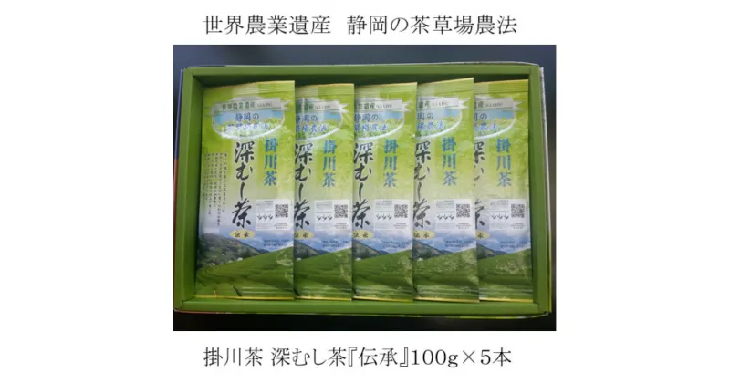 【ふるさと納税】お茶 緑茶 新茶受付あり　世界農業遺産　静岡の茶草場農法　掛川茶　深むし茶『伝承』100g×5本〔 煎茶 茶葉 静岡 大塚製茶 〕