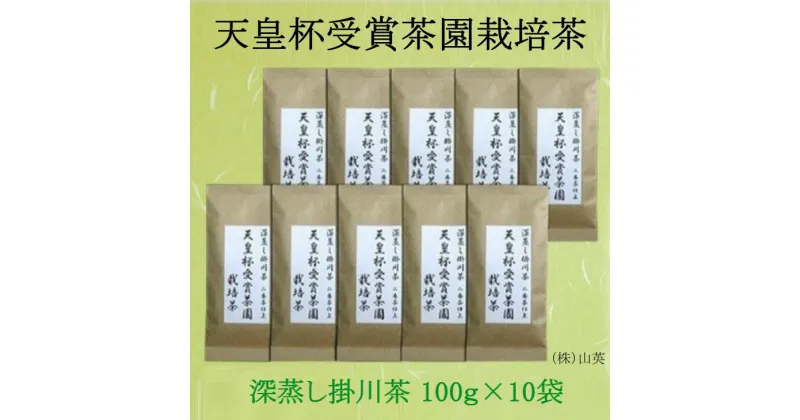 【ふるさと納税】新茶 受付あり お茶 『 天皇杯受賞茶園栽培茶2番茶仕上100g×10本 』〔お茶 緑茶 煎茶 茶葉 静岡 掛川茶 全国配送 山英 〕