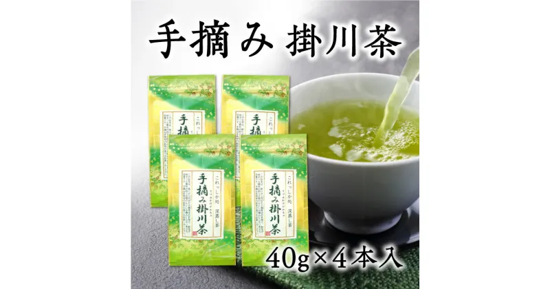 【ふるさと納税】新茶 受付あり お茶 緑茶 希少な手摘み掛川茶40g×4袋セット 佐々木製茶〔 煎茶 茶葉 静岡 深蒸し掛川茶 〕