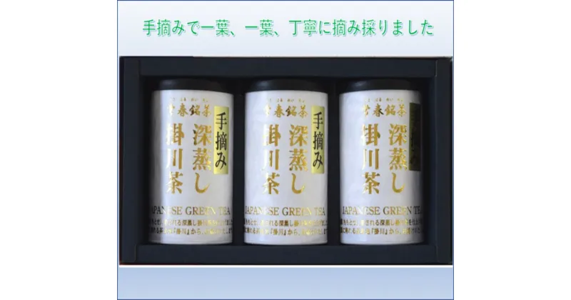 【ふるさと納税】お茶 新茶 受付あり お茶 緑茶 深蒸し 手摘み茶 【天心】100g×3缶〔 煎茶 茶葉 静岡 掛川茶 美笠園 〕