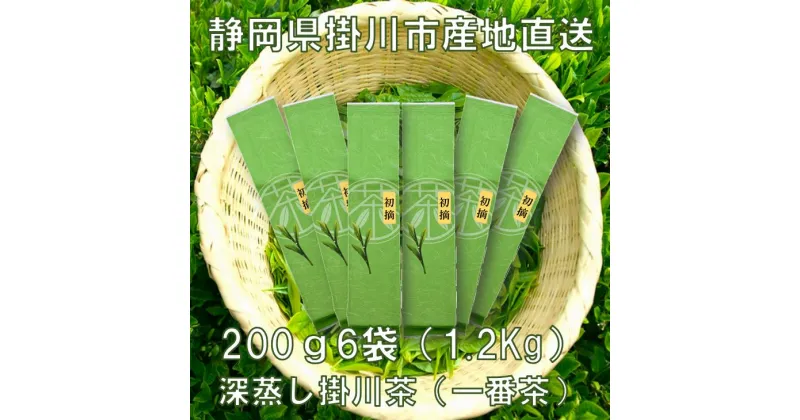 【ふるさと納税】お茶 新茶受付あり お茶 飲み尽くし産直　深蒸し掛川茶（一番茶100％）200g×6袋（1．2kg）セット〔 緑茶 煎茶 茶葉 静岡 掛川茶 美笠園 〕