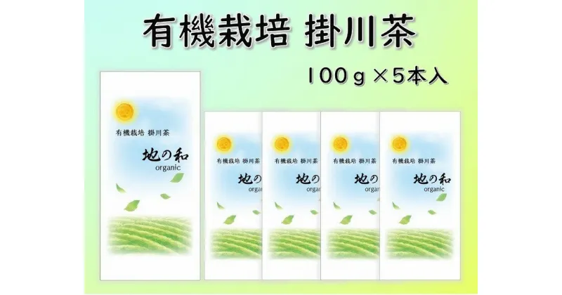 【ふるさと納税】お茶 緑茶 有機栽培 オーガニック 掛川茶　100g×5本　浅蒸し茶　 佐々木製茶〔 浅蒸し 緑茶 静岡 掛川茶 茶葉 〕