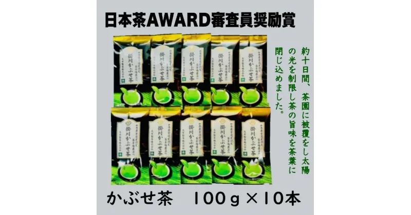 【ふるさと納税】お茶 緑茶 茶草場農法の掛川かぶせ茶 100g×10本 大井製茶〔 静岡茶 掛川茶 かぶせ 小分け 〕