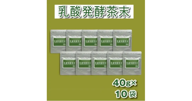 【ふるさと納税】お茶 緑茶 乳酸菌 で発酵させた深蒸し掛川茶　乳酸発酵茶末 山英〔 粉末茶 静岡 掛川茶 GABA ポリフェノール カテキン類 タンニン テアニン ビタミンA ビタミンE アスパラギン酸 グルタミン酸 食物繊維 〕