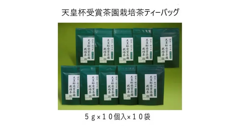 【ふるさと納税】お茶 緑茶 ティーバッグ 天皇杯受賞茶園栽培茶深蒸し掛川茶ティーバッグ（5g×10個）×10袋 山英〔 煎茶 天皇杯 静岡 掛川茶 〕