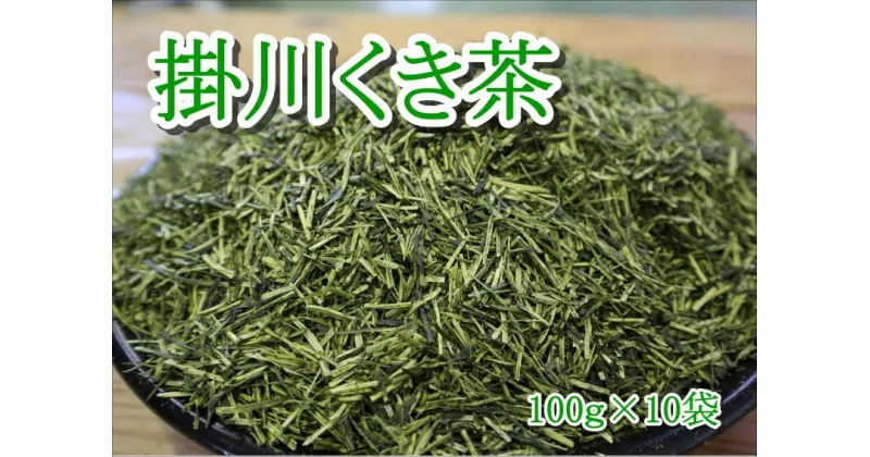 【ふるさと納税】お茶 緑茶 掛川くき茶 100g×10袋 計1kg 山英〔 茎茶 掛川茶 深蒸し茶 静岡 〕