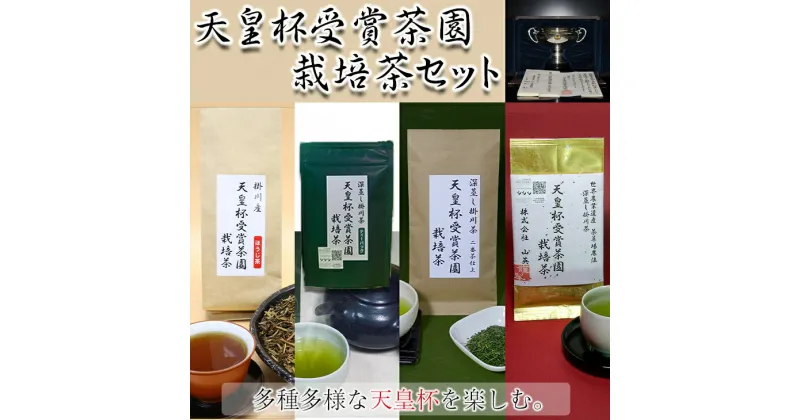 【ふるさと納税】お茶 緑茶 天皇杯受賞茶園栽培茶　4種　計9袋セット（プレミアム1袋・2番茶仕上げ3袋・ティーバッグ3袋・ほうじ茶2袋） 山英〔 天皇 天皇杯 静岡 掛川茶 煎茶 最高級茶 普段使い ティーバッグ ほうじ茶 〕