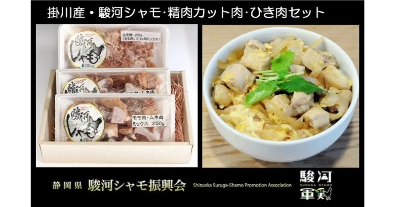 【ふるさと納税】掛川産 地鶏 駿河シャモ 「 精肉カット肉 ＆ ひき肉 」セット（ カット肉 モモ・ムネミックス 約250g）2点 ひき肉（ モモ ・ムネのミックス約200g）1点 合計3点 草笛の会 〔 軍鶏 しゃも 〕