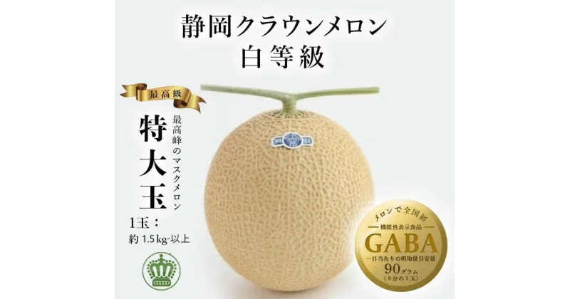 【ふるさと納税】メロン めろん『 クラウンメロン 白等級 特大玉 1玉 』（1.5 kg以上 糖度13度以上 ）ギフト化粧箱入り 〔 マスクメロン 特大 高級メロン 果物 フルーツ 静岡 青肉 メロン 掛川市 GABA 〕