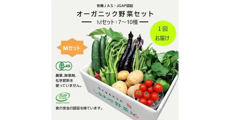 【ふるさと納税】オーガニック 野菜「 M セット」（7～10種類） 1回便 （ 有機JAS認証取得 有機野菜 SDGs 有機JAS認証 JGAP認証 取得 野菜セット 有機野菜セット しあわせ野菜畑 ）