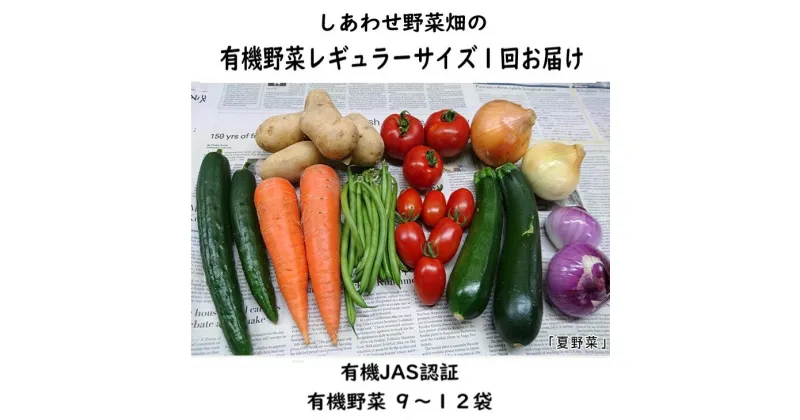 【ふるさと納税】オーガニック 野菜 「 レギュラーサイズ 野菜セット」（9～12種類） 1回便 （ やさい 野菜 有機JAS認証取得 有機野菜 SDGs 有機JAS認証 JGAP認証 取得 野菜セット 有機野菜セット しあわせ野菜畑 ）