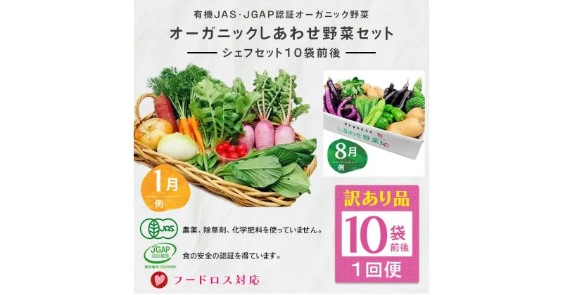 【ふるさと納税】野菜 オーガニック 規格外野菜利用「 シェフセット」（10袋前後） 1回便 （ 訳あり わけあり フードロス対応 有機JAS 認証取得 有機野菜 SDGs 有機JAS認証 JGAP認証 取得 規格外 野菜セット 有機野菜セット しあわせ野菜畑 ）