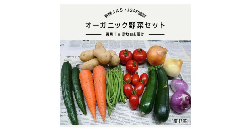 【ふるさと納税】野菜 定期便 オーガニック 野菜 「 レギュラーサイズ 野菜セット定期便 」（9～12種類）毎月1回 計6回お届け 定期便【 有機JAS認証取得 有機野菜 SDGs 有機JAS認証 JGAP認証 取得 野菜セット 有機野菜セット しあわせ野菜畑 】