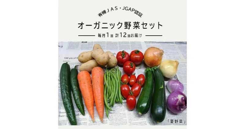 【ふるさと納税】野菜 定期便 オーガニック 野菜 「 レギュラーサイズ 野菜セット定期便 」（9～12種類）毎月1回 計12 回お届け 定期便【 有機JAS認証取得 有機野菜 SDGs 有機JAS認証 JGAP認証 取得 野菜セット 有機野菜セット しあわせ野菜畑 】