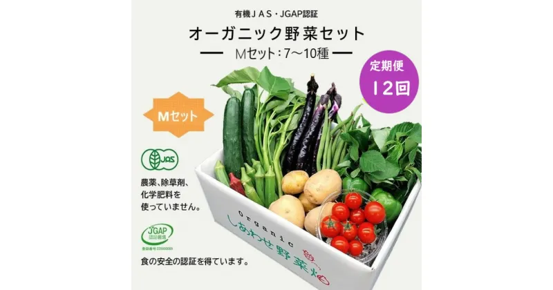 【ふるさと納税】野菜 定期便 オーガニック 野菜「 M セット」（7～10種類） 毎月1回 計12回 定期便 （ 有機JAS認証取得 有機野菜 SDGs 有機JAS認証 JGAP認証 取得 野菜セット 有機野菜セット しあわせ野菜畑 ）