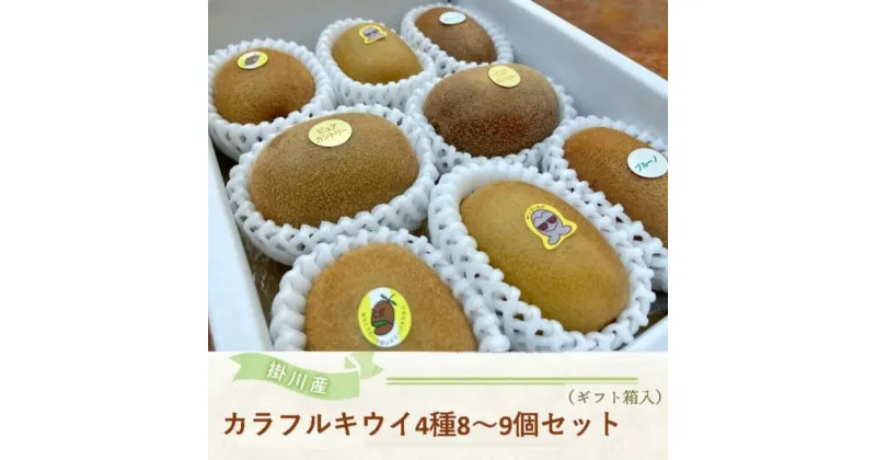 【ふるさと納税】『 掛川産 キウイ カラフルキウイ 4種 8～9個セット 』★11月～3月の発送期間限定 キウイフルーツ カントリーJapan〔 フルーツ ギフト 箱入り 贈答 静岡県産 国産 果物 掛川 〕