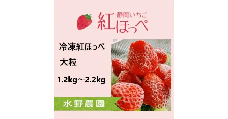 【ふるさと納税】イチゴ 苺 いちご 掛川産 紅ほっぺ 冷凍イチゴ （ 600g×2袋　計1.2kg／ 1.1kg×2袋　計2.2kg ）ヘタなし　水野農園　 ( 静岡 ミズノ農園 シーズンオフ かき氷 ）