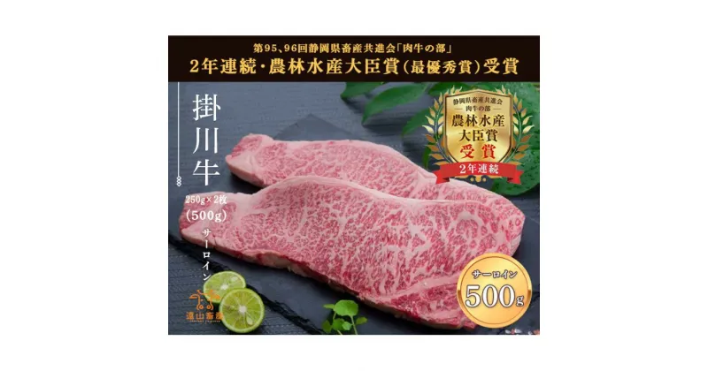 【ふるさと納税】牛肉 掛川牛 和牛「 サーロイン 」500g（250g×2枚）〔 国産 黒毛 静岡 掛川 遠山畜産 〕