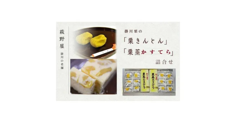 【ふるさと納税】 掛川栗 の「 栗 きんとん 」6ケ入×2包 ・「 栗蒸し カステラ 」2本　詰合せ 【期間限定 9月から12月（栗が終了次第）】 萩野屋菓子舗（ 和菓子 くり 栗きんとん 掛川市 静岡 ）