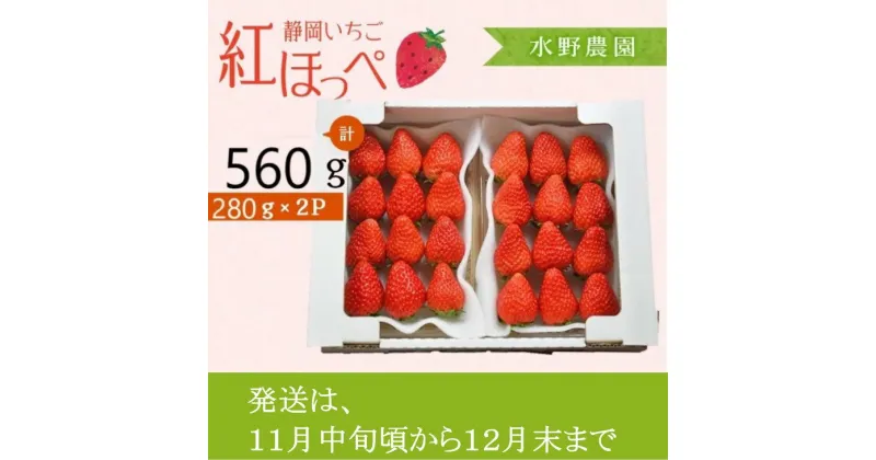 【ふるさと納税】いちご イチゴ 苺 ☆年内発送（11月中旬～12月） 掛川産完熟いちご「ミズノ農園の紅ほっぺ 」280g×2パック ※11月中旬ごろ～12月末にかけて順次発送（ 紅ほっぺ 人気 くだもの フルーツ 掛川市 静岡 いちご ）