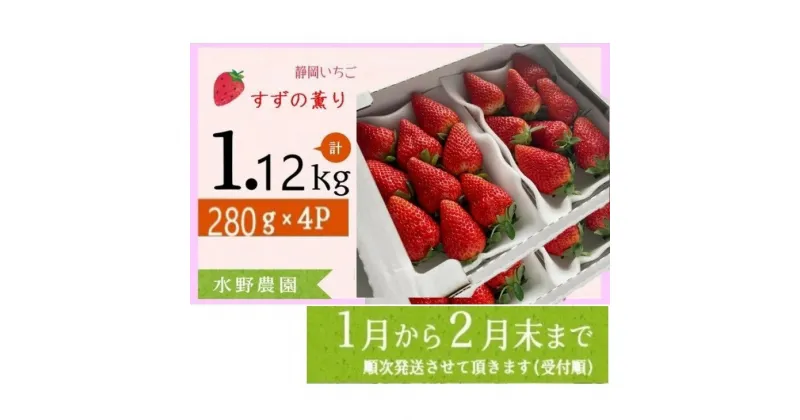 【ふるさと納税】イチゴ 苺 いちご 新品種【1～2月発送】掛川産 完熟いちご「 ミズノ農園の すずの薫り 」280g×4パック　約1.12kg（その日に収穫したものを受付順に1～2月に順次発送）〔静岡 すずのかおり 香り 人気 甘い ボリューム 掛川市 ミズノ農園 〕