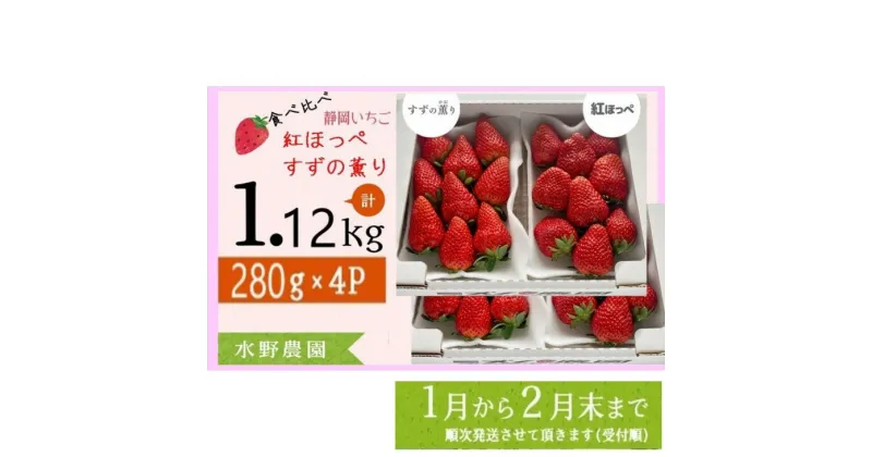 【ふるさと納税】イチゴ いちご 新品種 【1～2月発送】掛川産 完熟いちご 食べ比べセット「 ミズノ農園の 紅ほっぺ 2パック＋ すずの薫り 2パック」各280g×2パックずつ 計4パック（約1.12kg）〔 苺 すずのかおり 香り 甘い ボリューム 掛川市 ミズノ農園 〕