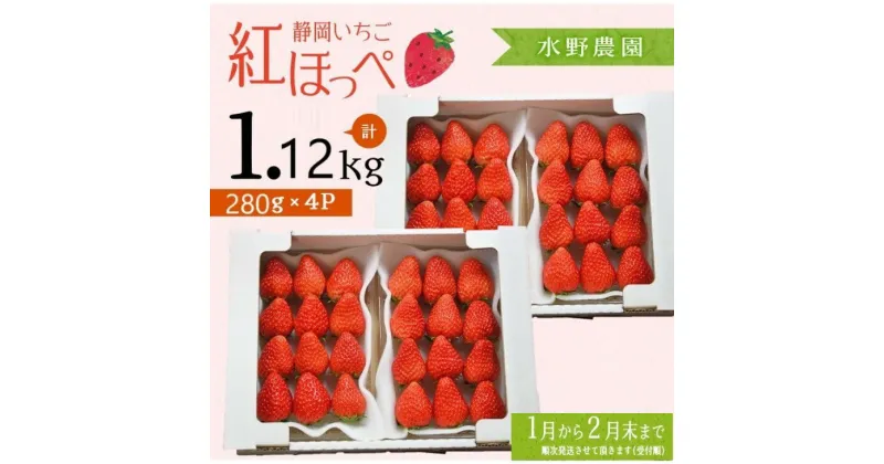 【ふるさと納税】いちご イチゴ 苺 【1～2月発送】 掛川産完熟いちご「ミズノ農園の紅ほっぺ 」280g×4パック （計1120g） ※1月～2月末にかけて順次発送（ 紅ほっぺ 人気 くだもの フルーツ ストロベリー 掛川市 静岡 いちご ）