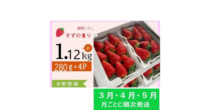 【ふるさと納税】イチゴ 苺 いちご 新品種　★3月・4月・5月発送★ 掛川産 完熟いちご「 ミズノ農園の すずの薫り 」280g×4パック　約1.12kg（その日に収穫したものを受付順に順次発送）〔静岡 すずのかおり 香り 人気 甘い ボリューム 掛川市 ミズノ農園 〕