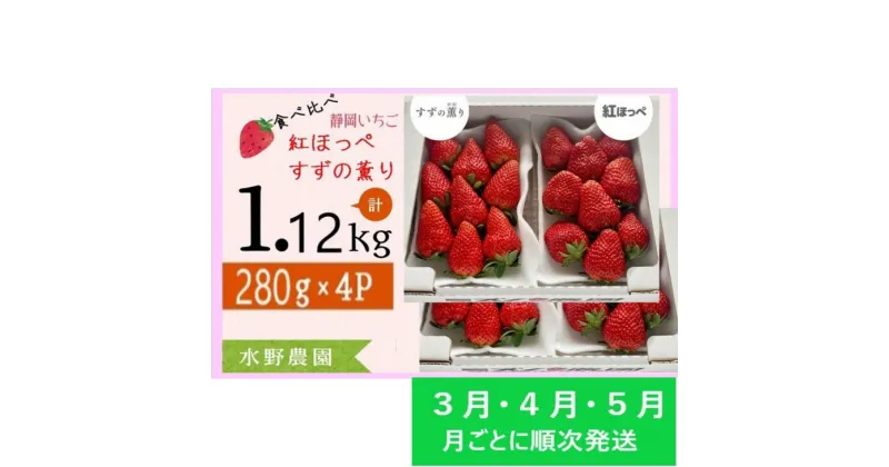 【ふるさと納税】イチゴ いちご 新品種 ★3月・4月・5月発送★ 掛川産 完熟いちご 食べ比べセット「 ミズノ農園の 紅ほっぺ 2パック＋ すずの薫り 2パック」各280g×2パックずつ 計4パック（約1.12kg）〔 苺 すずのかおり 香り 甘い 人気 掛川市 ミズノ農園 〕