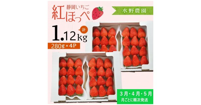 【ふるさと納税】いちご イチゴ 苺 ★3月・4月・5月発送★ 掛川産完熟いちご「 ミズノ農園 の 紅ほっぺ 」280g×4パック （計1120g） （ 人気 くだもの フルーツ ストロベリー 掛川市 静岡 ）