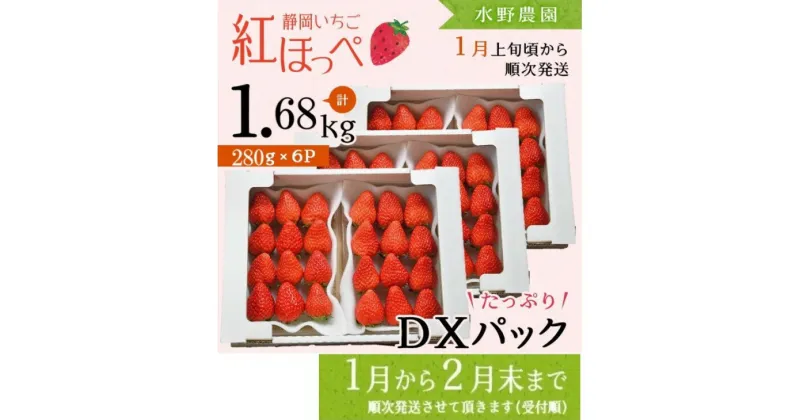 【ふるさと納税】いちご イチゴ 苺 【1～2月発送】 掛川産完熟いちご「ミズノ農園の紅ほっぺ 」280g×6パック （計1680g） ※1月～2月末にかけて順次発送（ 紅ほっぺ 人気 くだもの フルーツ ストロベリー 掛川市 静岡 いちご ）