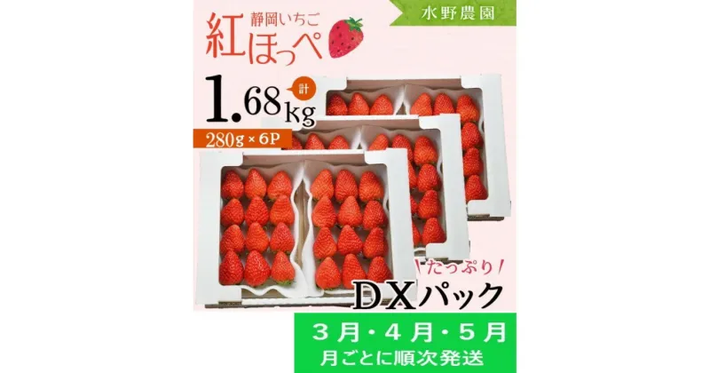 【ふるさと納税】いちご イチゴ 苺 ★3月・4月・5月発送★ 掛川産完熟いちご「 ミズノ農園 の 紅ほっぺ 」280g×6パック （計1680g） （ 人気 くだもの フルーツ ストロベリー 掛川市 静岡 ）