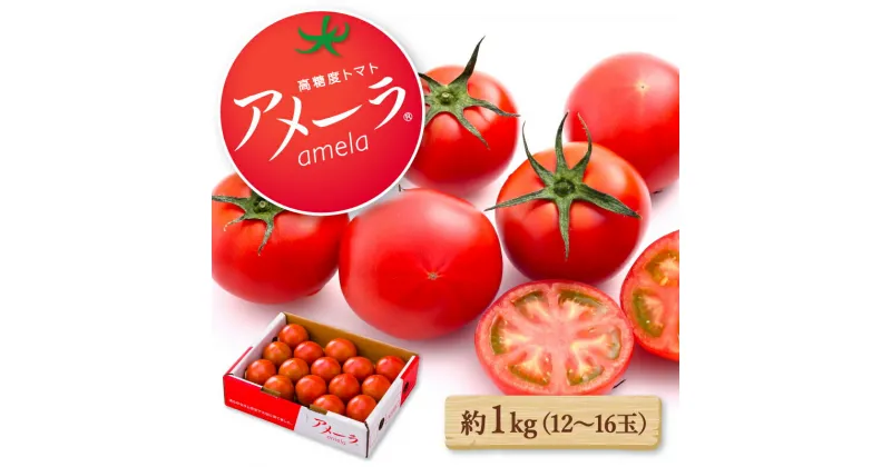 【ふるさと納税】 トマト アメーラ 約 1kg 発送時期が選べる 糖度 7.5 以上 野菜 セット 産地 直送 旬野菜 送料無料 とまと 発送 ふるさと納税トマト ふるさと納税野菜 静岡県 藤枝