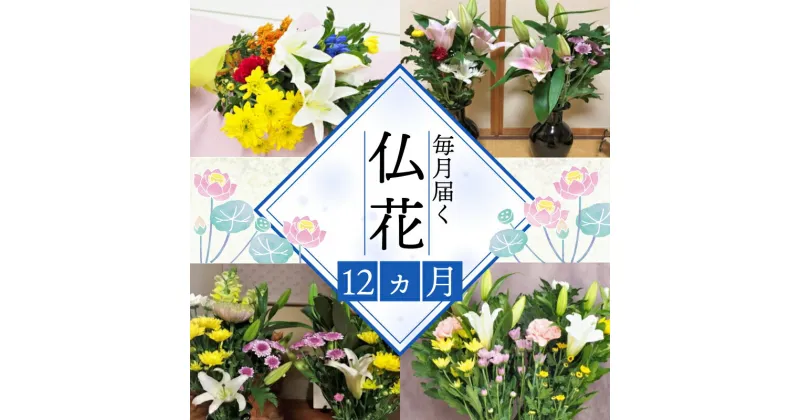 【ふるさと納税】 定期便 12回 12ヶ月 お届け お供えのお花DX（生花組花2束）1年コース 百合 ユリ 菊 カーネーション 花 フラワー ギフト お仏壇 お墓 お参り 法要 法事 御供 お供え用 静岡県 藤枝市