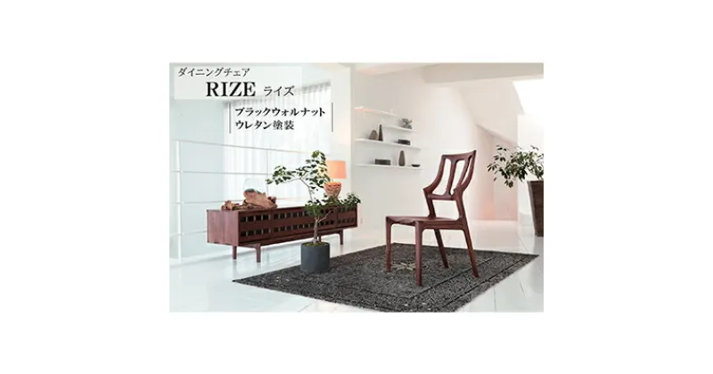 【ふるさと納税】 ダイニングチェア RIZE ライズ ウォールナット材 天然無垢 起立木工 藤枝家具 キッチン日用品 木材 木工 おしゃれ 家具 雑貨 インテリア 椅子 イス 静岡県 藤枝市