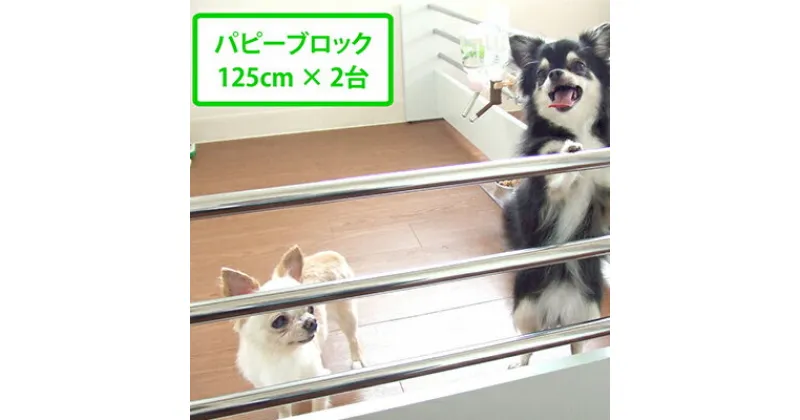 【ふるさと納税】 ペット ゲート 置くだけ パピーブロック 125cm ＋ 125cm セット ペット用 パーテーション 犬用ゲート 仕切り 柵 サークル ケージ 静岡県 藤枝市