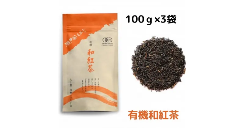 【ふるさと納税】 紅茶 100g × 3袋 国産 お茶 飲料 茶葉 和紅茶 ティー ホット アイス リラックス 栽培期間中 農薬 化学肥料 不使用 チャック付き 袋 静岡県 藤枝市