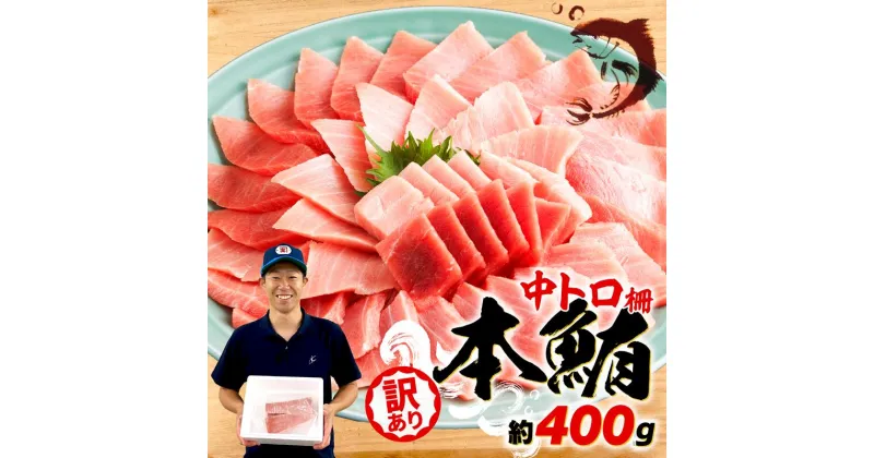 【ふるさと納税】 訳あり 本マグロ 中トロ 約400g 鮪 冷凍 不定型 柵 本鮪 漬け丼 海鮮 刺身 魚 鮮魚 海鮮 食品 人気 まぐろ ふるさと ふるさと納税 魚介類 発送時期が選べる マグロ ネギトロ にも ふるさと納税魚介 10000円 1万円