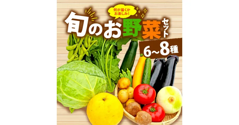 【ふるさと納税】 野菜 詰合せ 6～8種 おまかせ 旬 まんさいかん ボックス 静岡県 藤枝市