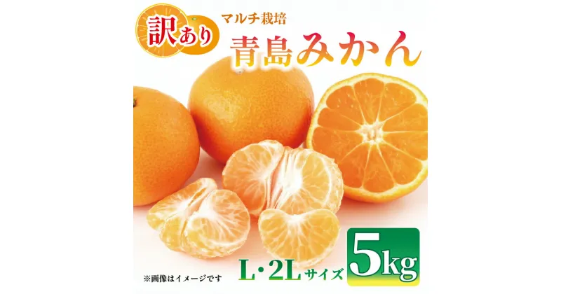 【ふるさと納税】 【先行予約：2025年1月上旬より発送】訳あり みかん 5kg L～2L 青島 ミカン 果物 国産 フルーツ 柑橘 静岡県産 マルチ栽培 蜜柑 大小 ミックス 不揃い ビタミン 美味しい 静岡県 藤枝市 ふるさと人気