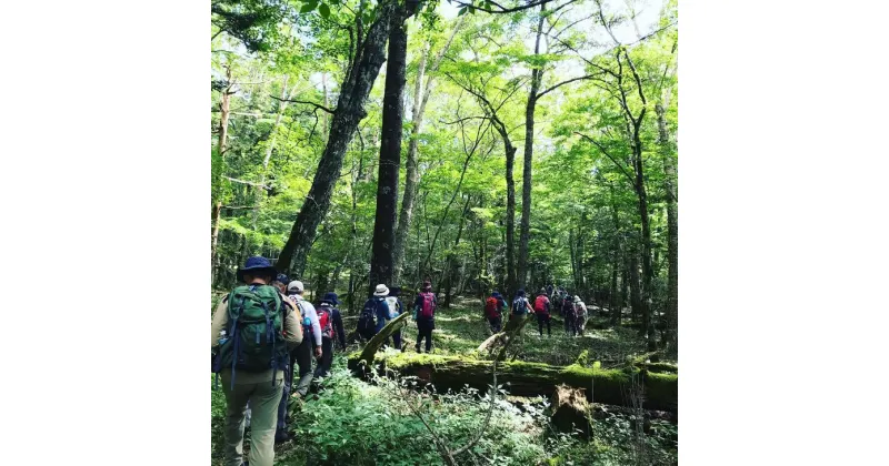 【ふるさと納税】山小屋で昼食＆プロガイド付き富士山五合目トレッキング（3〜5名）◇【体験　自然　トレッキング　ハイキング】