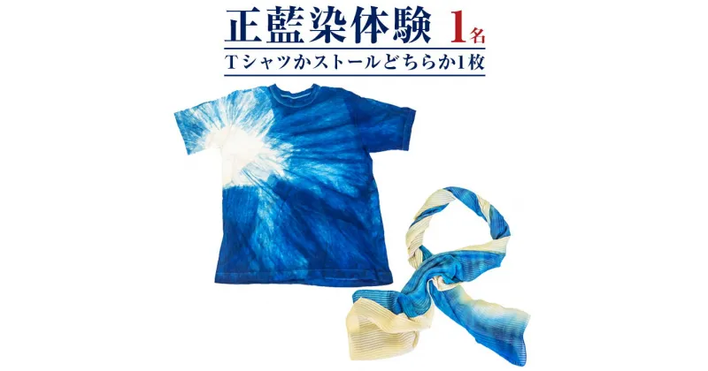 【ふるさと納税】みくりや染織 Tシャツまたはストール体験（1名）｜体験 静岡県 伝統 藍染め