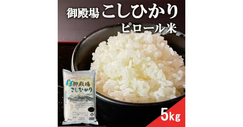 【ふるさと納税】ピロール米　御殿場こしひかり　5kg※着日指定不可