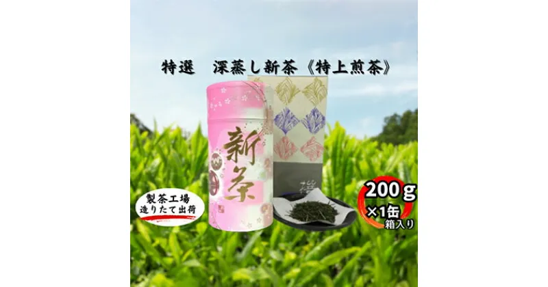 【ふるさと納税】特選　深蒸し新茶《特上煎茶》貼缶　箱ギフト（200g×1缶）　お茶・緑茶　お届け：2024年4月下旬～2025年4月下旬