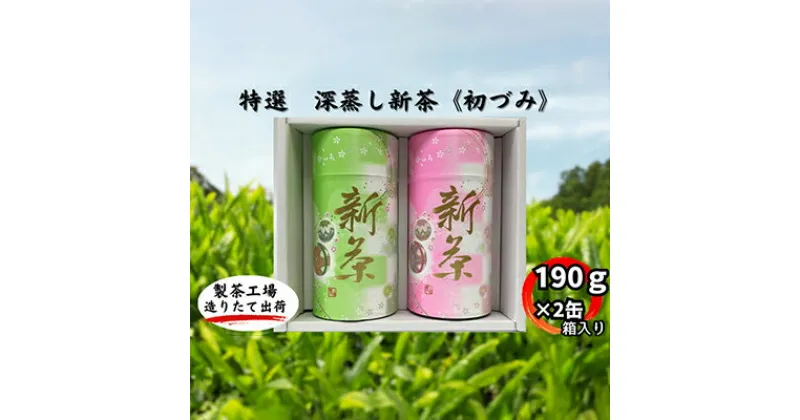 【ふるさと納税】特選　深蒸し新茶《初づみ》貼缶　箱ギフト（190g×2缶）　お茶・緑茶　お届け：2024年5月初旬～2025年4月下旬