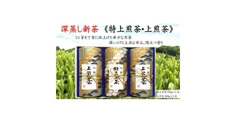 【ふるさと納税】深蒸し新茶《特上煎茶[200g×1本]・上煎茶[200g×2本]》　お茶・緑茶　お届け：2024年5月初旬～2025年4月下旬