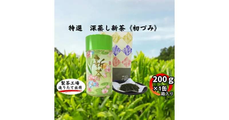 【ふるさと納税】特選　深蒸し新茶《初づみ》　缶箱ギフト（200g×1缶）　お茶・緑茶　お届け：2024年5月初旬～2025年4月下旬