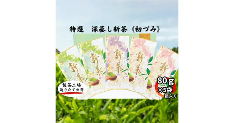 【ふるさと納税】特選　深蒸し新茶《初づみ》平箱ギフト（80g×5袋）　お茶・緑茶　お届け：2024年5月初旬～2025年4月下旬