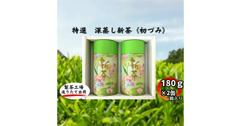 【ふるさと納税】特選　深蒸し新茶《初づみ》缶箱ギフト（180g×2缶）　お茶・緑茶　お届け：2024年5月初旬～2025年4月下旬