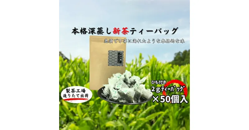 【ふるさと納税】本格深蒸し新茶ティーバッグ大袋（2g×50個入）　お茶・緑茶　お届け：2024年6月初旬～2025年4月下旬